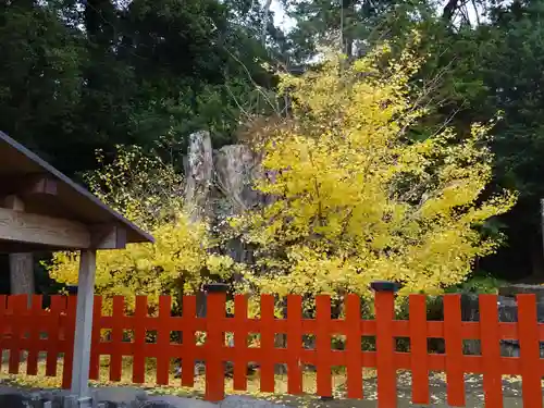 鶴岡八幡宮(神奈川県)