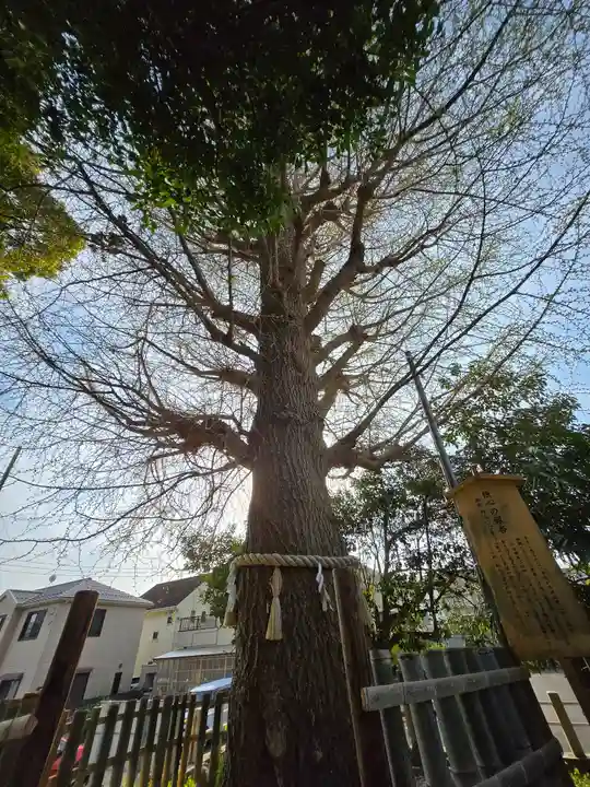鹿嶋神社(茨城県)