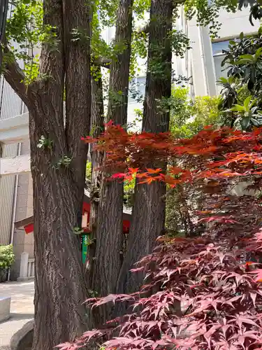 日本橋日枝神社の自然