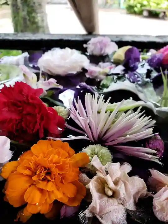 鳩森八幡神社の手水舎