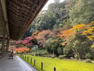 南禅院(京都府)