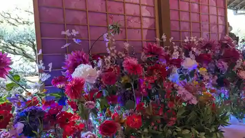 隨心院（随心院）(京都府)