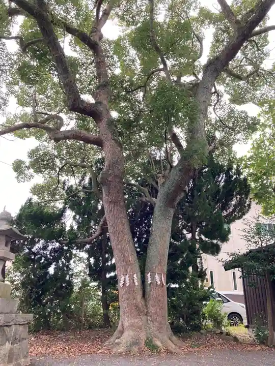 金山神社(福島県)