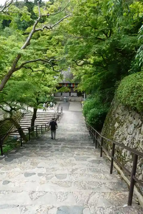 長谷寺(奈良県)