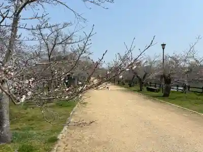 宇佐神社の{uncategorized: "未分類", other: "その他", undefined: "問題あり", building: "その他建物", grave: "お墓", sacred_gate: "鳥居", guardian: "狛犬", statue: "像", buddha: "仏像", history: "歴史", nature: "自然", garden: "庭園", animal: "動物", pagoda: "塔", temizu: "手水舎", mountain_gate: "山門・神門", sanctuary: "本殿・本堂", subordinate: "末社・摂社", art: "芸術", scenery: "景色", jizo: "地蔵", ema: "絵馬", goshuin: "御朱印", omikuji: "おみくじ", items: "授与品その他", amulet: "お守り", goshuincho: "御朱印帳", eats: "食事", festival: "お祭り", votive_dance: "神楽", shichigosan: "七五三参", wedding: "結婚式", experience: "体験その他", initially: "初詣", around: "周辺", anti_infection: "感染症対策"}