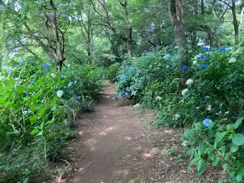 大宝八幡宮(茨城県)