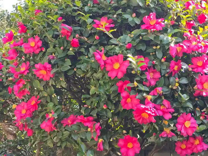 梅渓寺(大阪府)