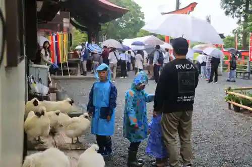 高屋敷稲荷神社の景色