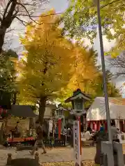 田無神社の建物その他