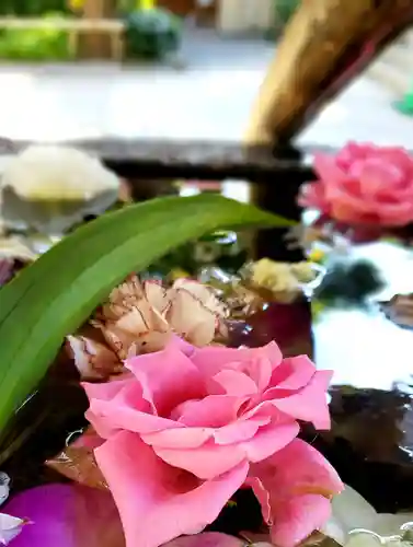 鳩森八幡神社の手水舎