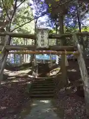 越知神社の鳥居