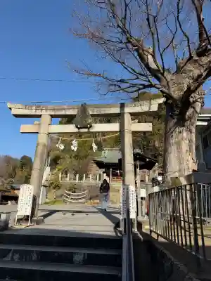 諏訪神社の{uncategorized: "未分類", other: "その他", undefined: "問題あり", building: "その他建物", grave: "お墓", sacred_gate: "鳥居", guardian: "狛犬", statue: "像", buddha: "仏像", history: "歴史", nature: "自然", garden: "庭園", animal: "動物", pagoda: "塔", temizu: "手水舎", mountain_gate: "山門・神門", sanctuary: "本殿・本堂", subordinate: "末社・摂社", art: "芸術", scenery: "景色", jizo: "地蔵", ema: "絵馬", goshuin: "御朱印", omikuji: "おみくじ", items: "授与品その他", amulet: "お守り", goshuincho: "御朱印帳", eats: "食事", festival: "お祭り", votive_dance: "神楽", shichigosan: "七五三参", wedding: "結婚式", experience: "体験その他", initially: "初詣", around: "周辺", anti_infection: "感染症対策"}