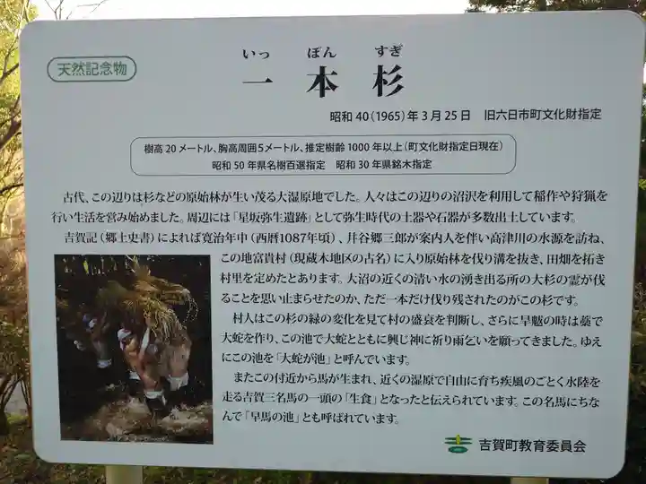 一本杉神社(島根県)