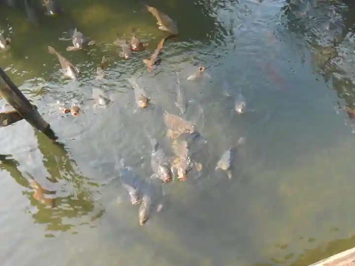 早水神社(宮崎県)