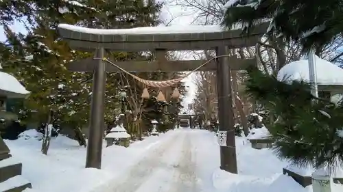 信濃神社の鳥居