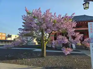 津観音(三重県)(2024年05月03日(金) 07時17分08秒投稿)