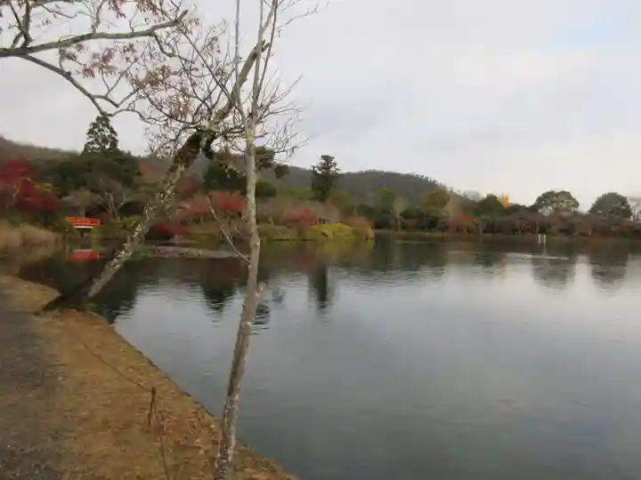 大覚寺(京都府)