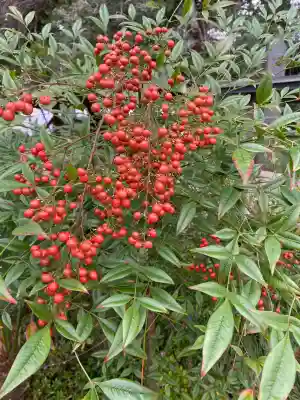 鎌数伊勢大神宮(千葉県)