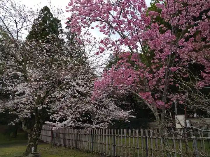 大覚寺(京都府)
