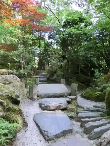 宝泉院の庭園