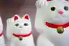 招きねずみさんのプロフィール画像