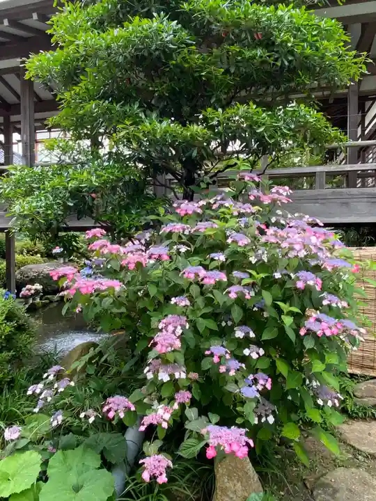 楽法寺(雨引観音)(茨城県)