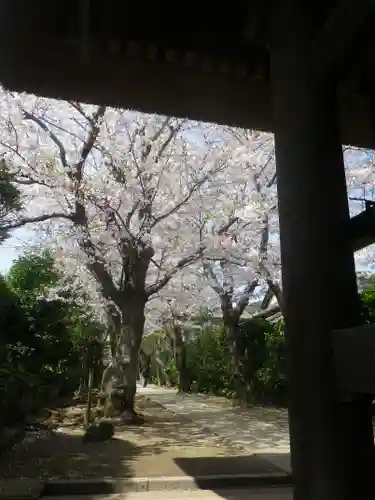 極楽寺（霊鷲山感應院極楽律寺）の庭園