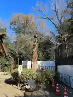 櫻木神社(千葉県)