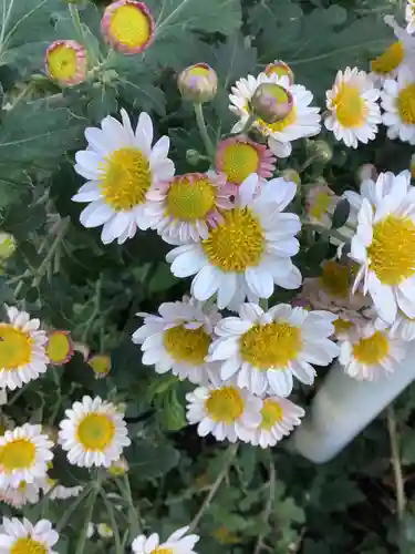 三輪神社の自然