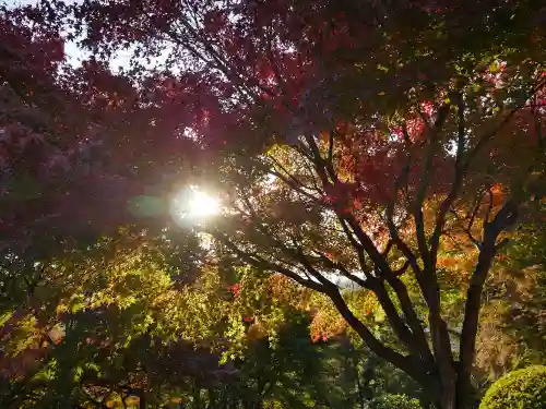 足利織姫神社の自然