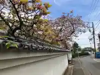 福聚院(神奈川県)