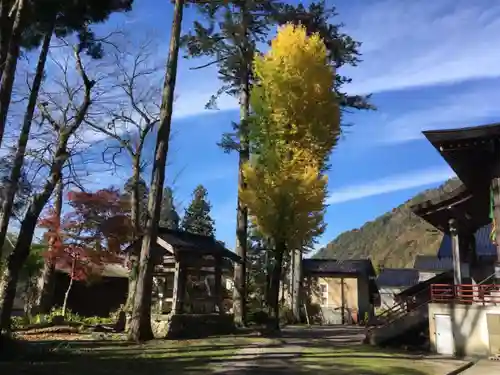 願慶寺の自然