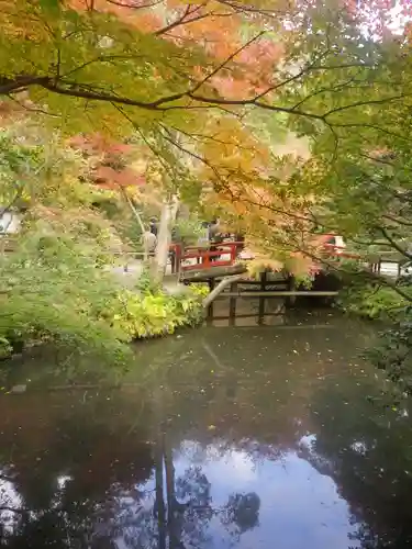 鶴岡八幡宮の庭園