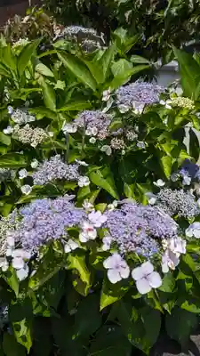 大松禅寺(京都府)