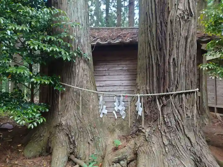 坪沼八幡神社(宮城県)