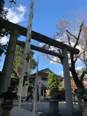 くまくま神社(導きの社 熊野町熊野神社)の鳥居