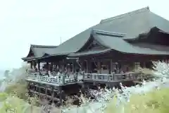 清水寺(京都府)