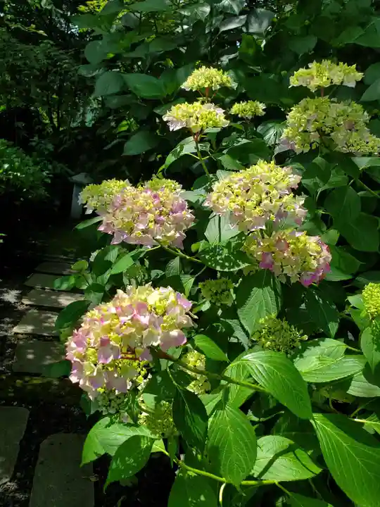 石都々古和気神社の自然