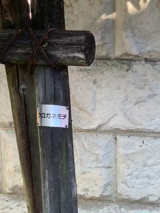 住吉神社(大阪府)