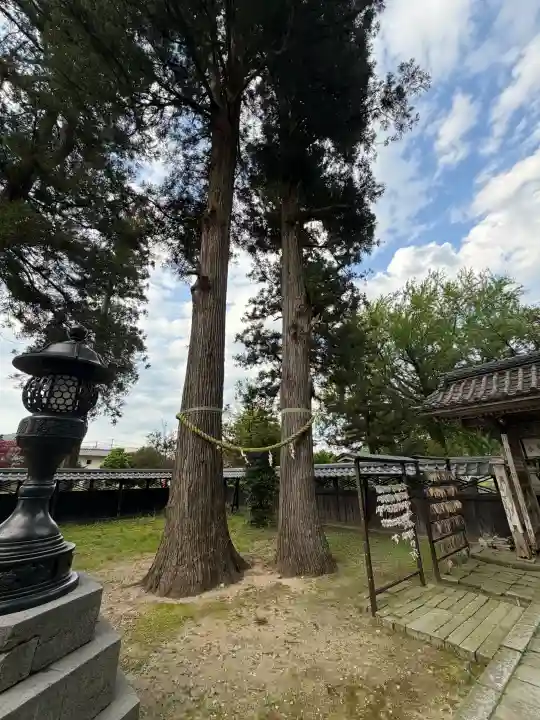 守りの神 藤基神社の{uncategorized: "未分類", other: "その他", undefined: "問題あり", building: "その他建物", grave: "お墓", sacred_gate: "鳥居", guardian: "狛犬", statue: "像", buddha: "仏像", history: "歴史", nature: "自然", garden: "庭園", animal: "動物", pagoda: "塔", temizu: "手水舎", mountain_gate: "山門・神門", sanctuary: "本殿・本堂", subordinate: "末社・摂社", art: "芸術", scenery: "景色", jizo: "地蔵", ema: "絵馬", goshuin: "御朱印", omikuji: "おみくじ", items: "授与品その他", amulet: "お守り", goshuincho: "御朱印帳", eats: "食事", festival: "お祭り", votive_dance: "神楽", shichigosan: "七五三参", wedding: "結婚式", experience: "体験その他", initially: "初詣", around: "周辺", anti_infection: "感染症対策"}