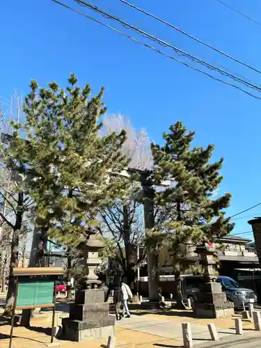 葛飾八幡宮(千葉県)