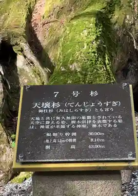 河口浅間神社(山梨県)