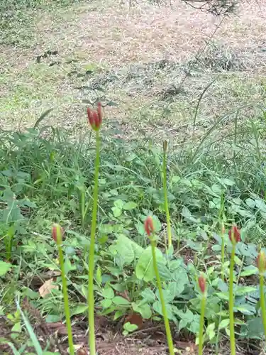 国宝 大法寺の御朱印