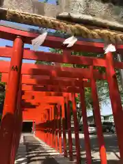 箭弓稲荷神社の鳥居