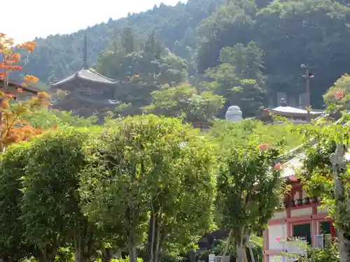 南法華寺（壷阪寺）の景色