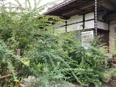 洞昌院(埼玉県)