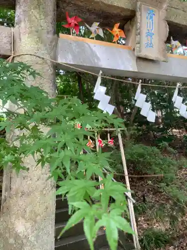 滑川神社 - 仕事と子どもの守り神(福島県)