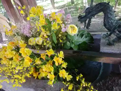 彌彦神社　(伊夜日子神社)の手水舎