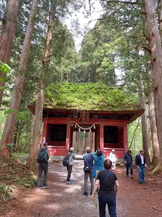 戸隠神社奥社の{uncategorized: "未分類", other: "その他", undefined: "問題あり", building: "その他建物", grave: "お墓", sacred_gate: "鳥居", guardian: "狛犬", statue: "像", buddha: "仏像", history: "歴史", nature: "自然", garden: "庭園", animal: "動物", pagoda: "塔", temizu: "手水舎", mountain_gate: "山門・神門", sanctuary: "本殿・本堂", subordinate: "末社・摂社", art: "芸術", scenery: "景色", jizo: "地蔵", ema: "絵馬", goshuin: "御朱印", omikuji: "おみくじ", items: "授与品その他", amulet: "お守り", goshuincho: "御朱印帳", eats: "食事", festival: "お祭り", votive_dance: "神楽", shichigosan: "七五三参", wedding: "結婚式", experience: "体験その他", initially: "初詣", around: "周辺", anti_infection: "感染症対策"}