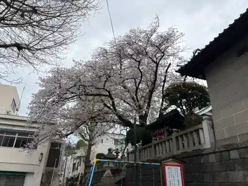 元町厳島神社の{uncategorized: "未分類", other: "その他", undefined: "問題あり", building: "その他建物", grave: "お墓", sacred_gate: "鳥居", guardian: "狛犬", statue: "像", buddha: "仏像", history: "歴史", nature: "自然", garden: "庭園", animal: "動物", pagoda: "塔", temizu: "手水舎", mountain_gate: "山門・神門", sanctuary: "本殿・本堂", subordinate: "末社・摂社", art: "芸術", scenery: "景色", jizo: "地蔵", ema: "絵馬", goshuin: "御朱印", omikuji: "おみくじ", items: "授与品その他", amulet: "お守り", goshuincho: "御朱印帳", eats: "食事", festival: "お祭り", votive_dance: "神楽", shichigosan: "七五三参", wedding: "結婚式", experience: "体験その他", initially: "初詣", around: "周辺", anti_infection: "感染症対策"}